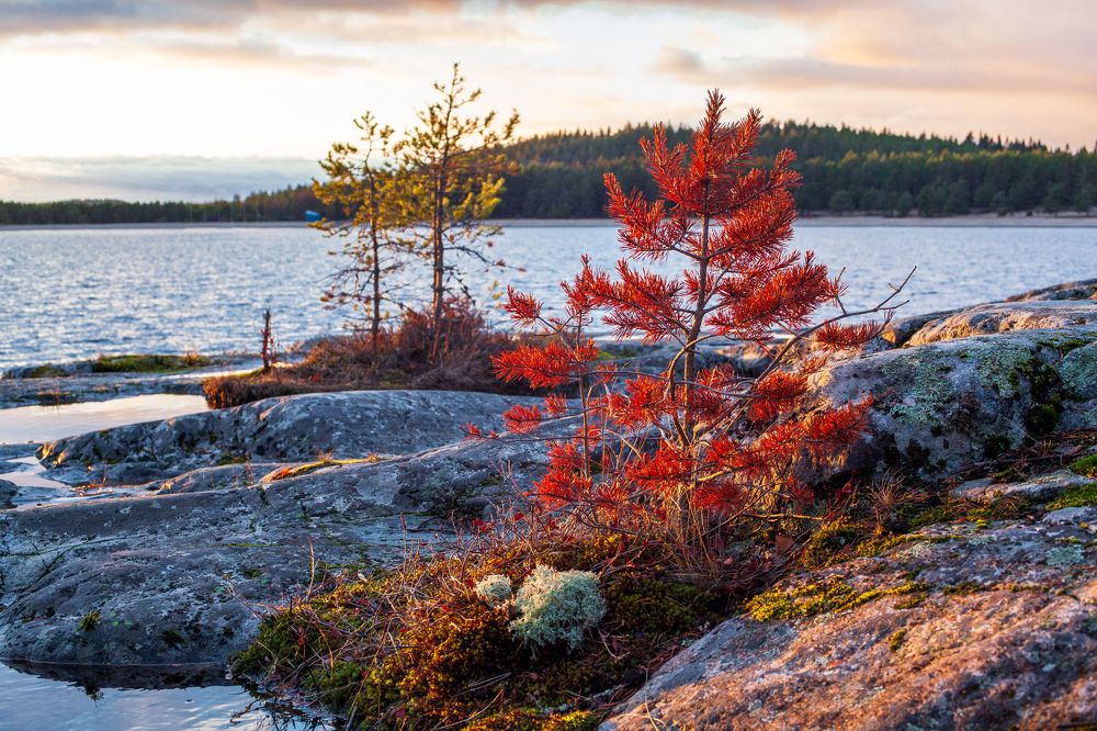 Photograph by Николай Захаров