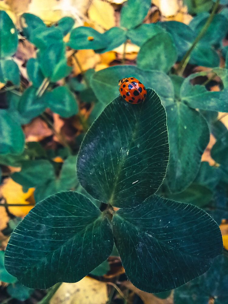 Photograph by Наталья