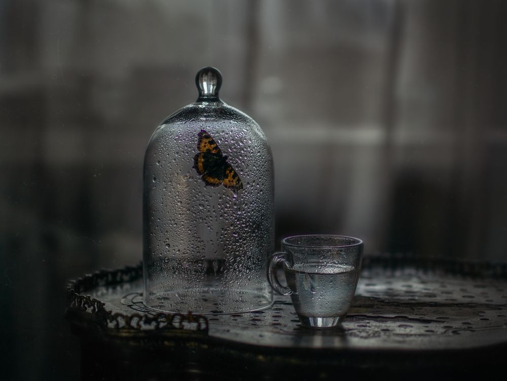 Photograph by Svoboda Andreeva