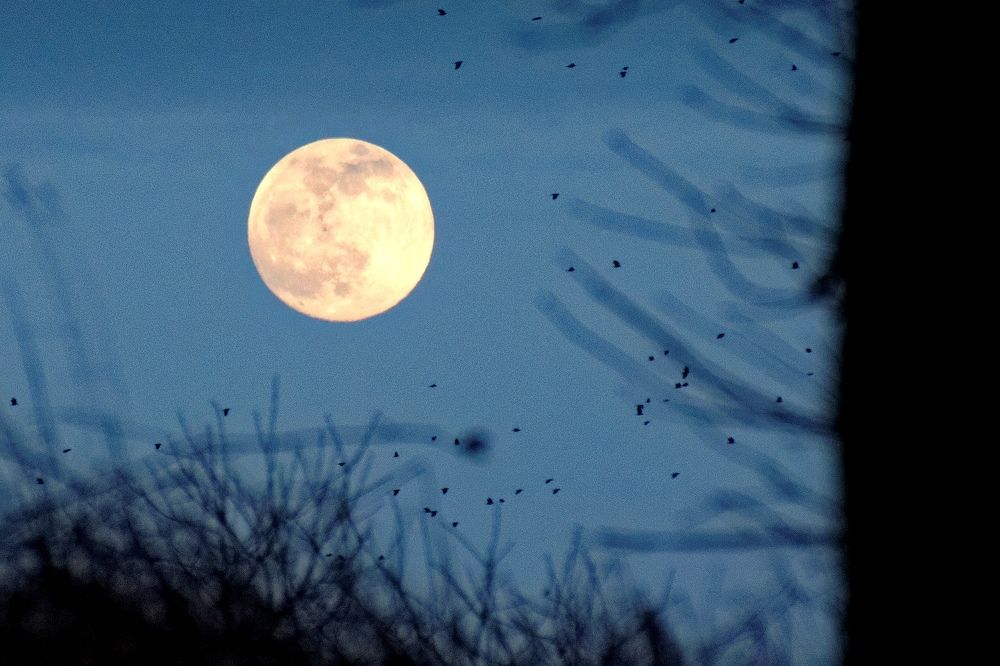 Photograph by Михаил Жарский