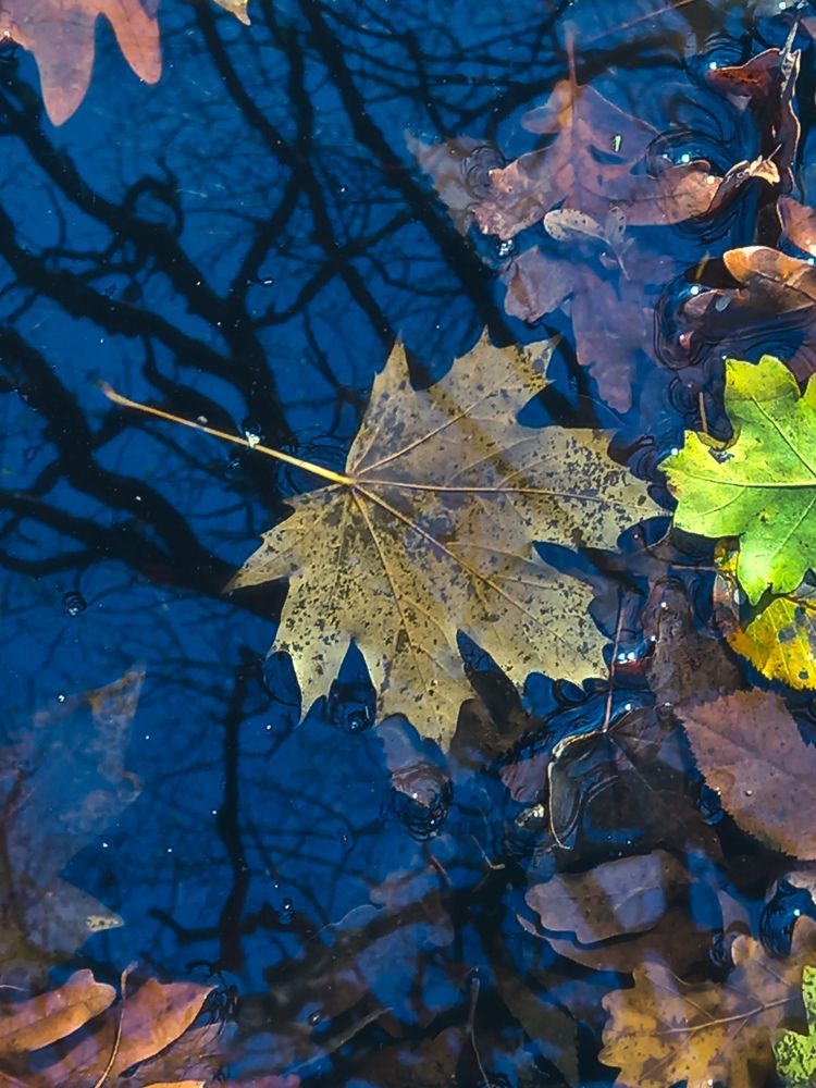 Photograph by Наталья