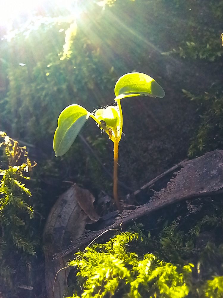 Новая жизнь