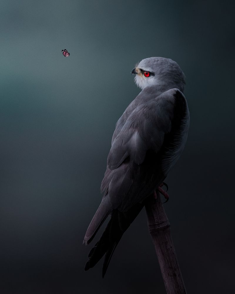 Photograph by Jayanta Guha