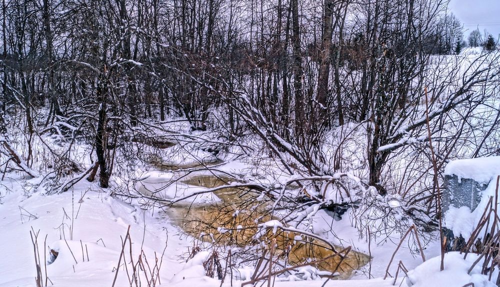 Photograph by Мальцева Ольга