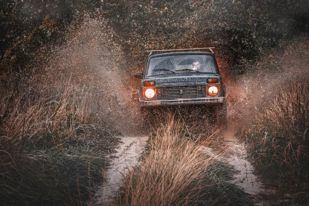 Photograph by Виталий Шкадинов