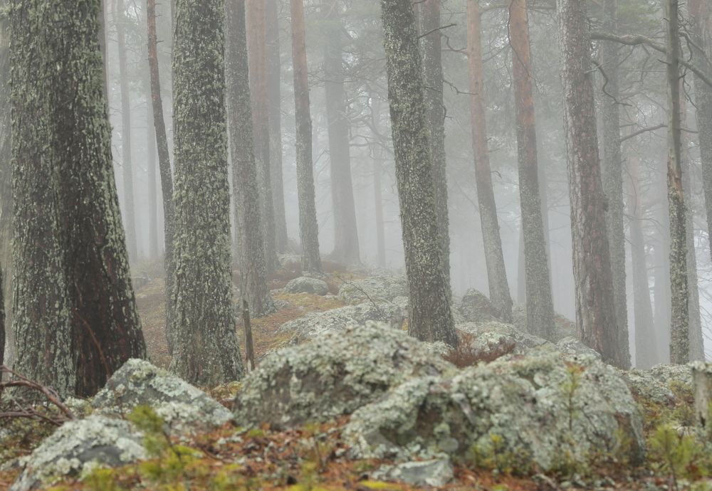 Фотография автора Юрий Кетель