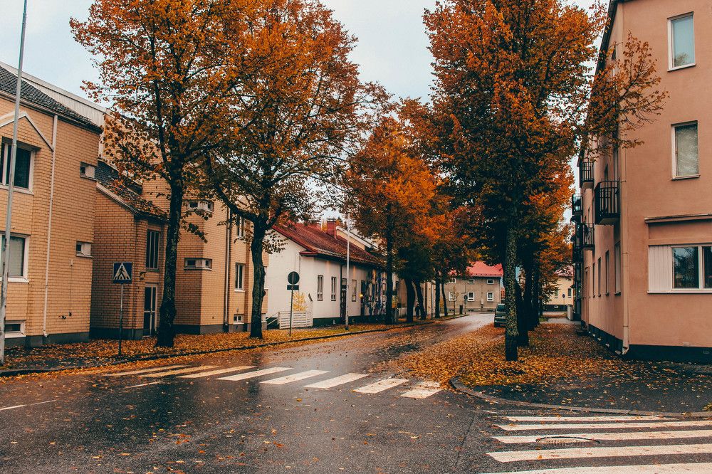 Photograph by Алина Логвиненко