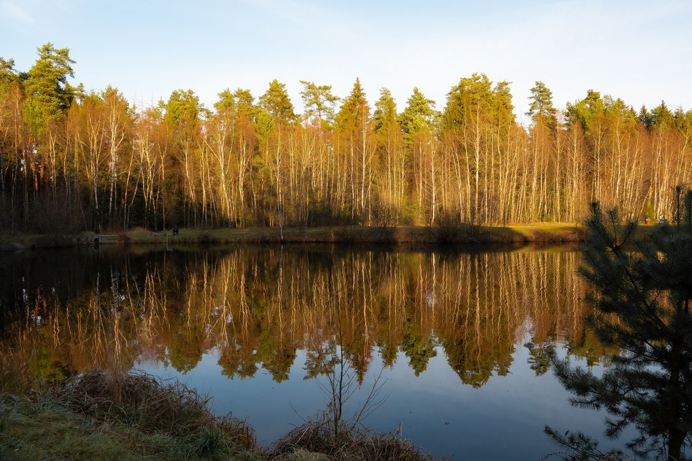 Отражение осени