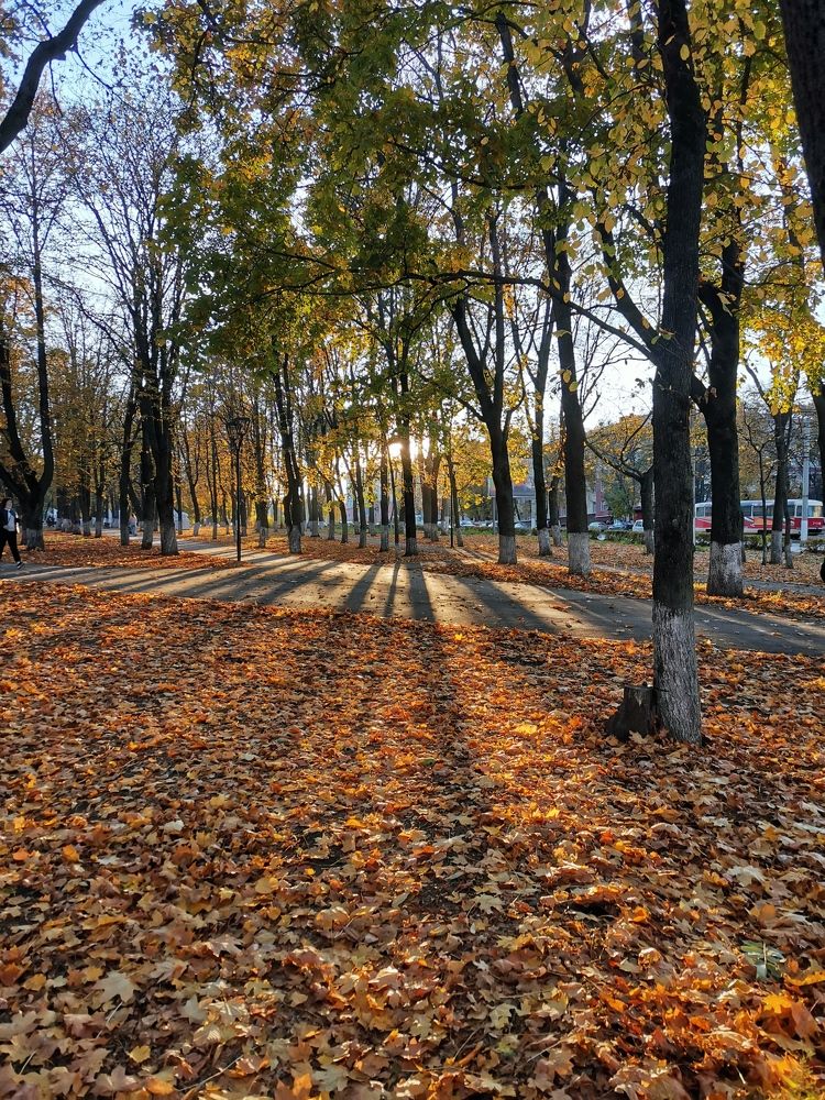 Photograph by Юрий Бирюков