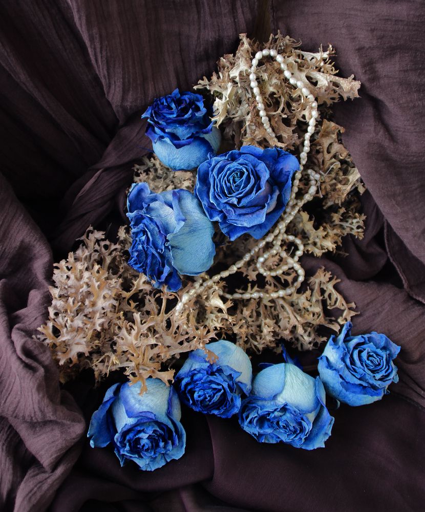 Photograph by Ekaterina Popova