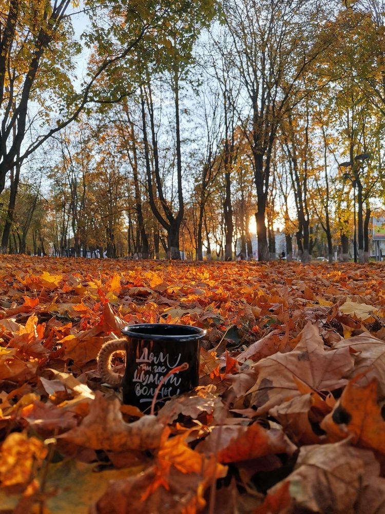 Photograph by Юрий Бирюков