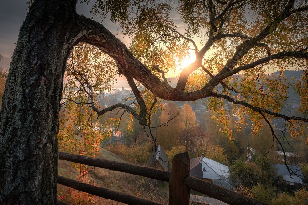 Фотография автора Андрей Чиж