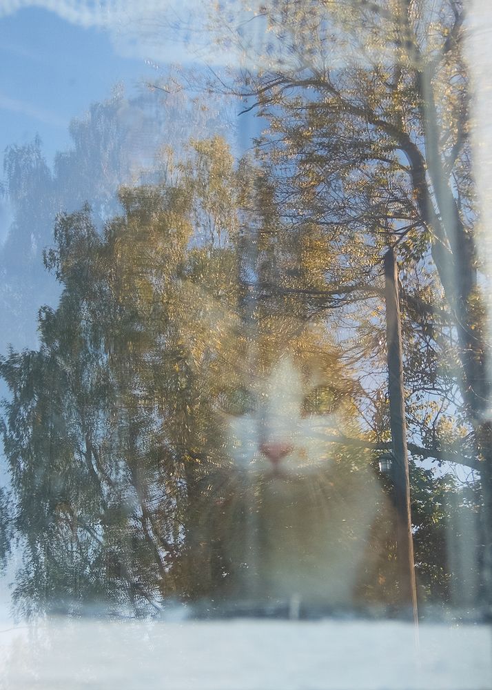 Фотография автора владимир шаронов