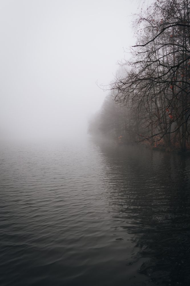 Photograph by Игорь Котиков