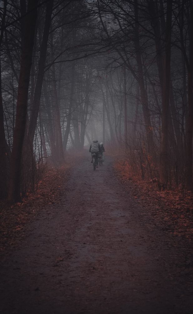 Сонная лощина