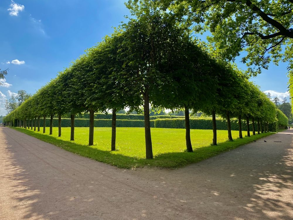 Photograph by Алина Сильченко