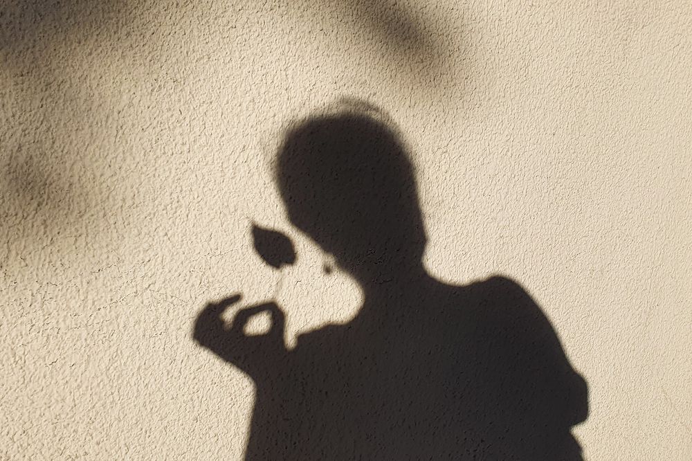 Photograph by Zohreh khaleghi