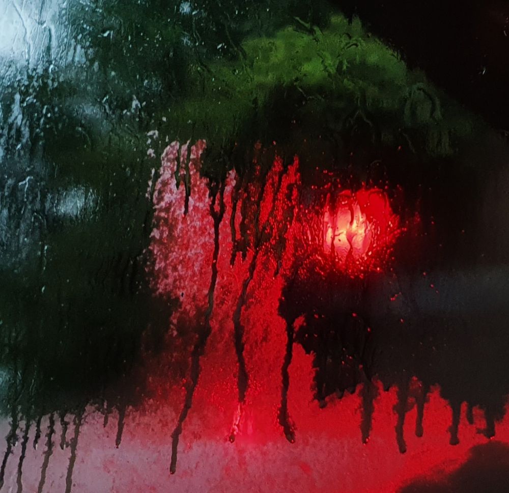 Photograph by Zohreh khaleghi