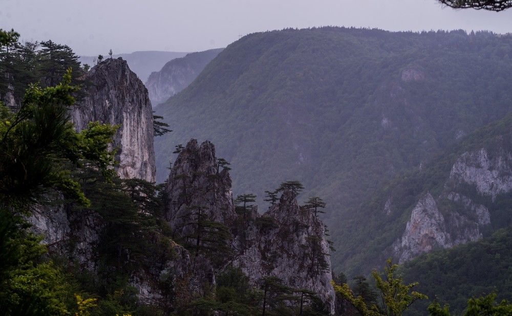 Photograph by Sreten Vitezović