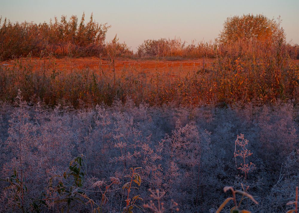 Фотография автора владимир шаронов