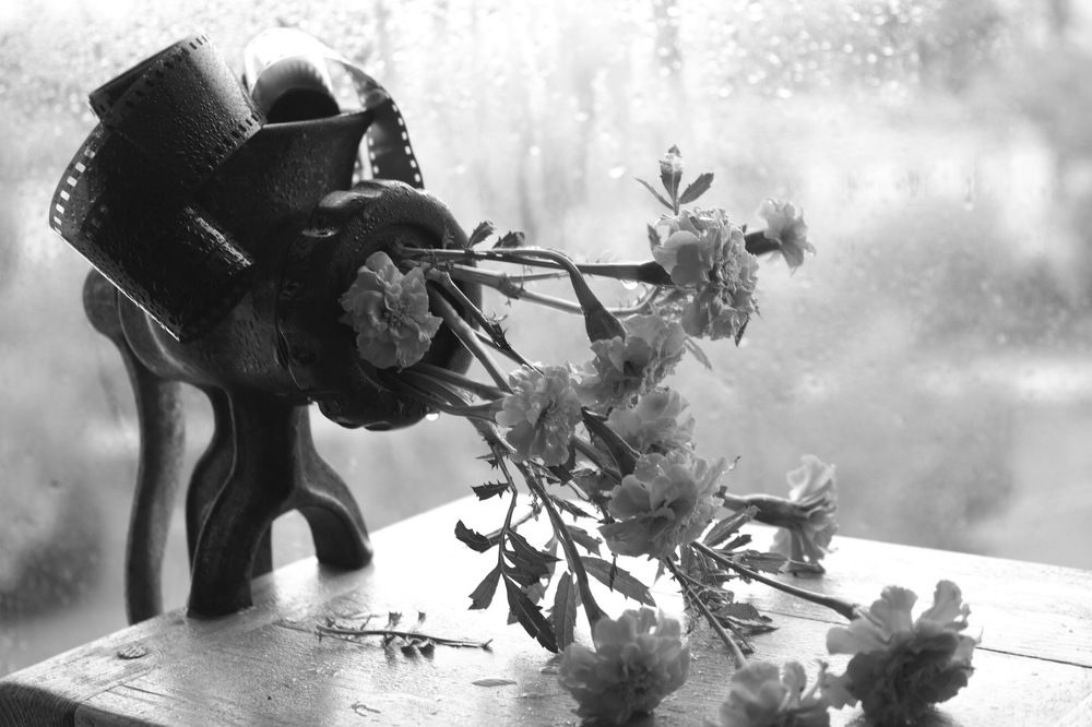 Метаморфоза