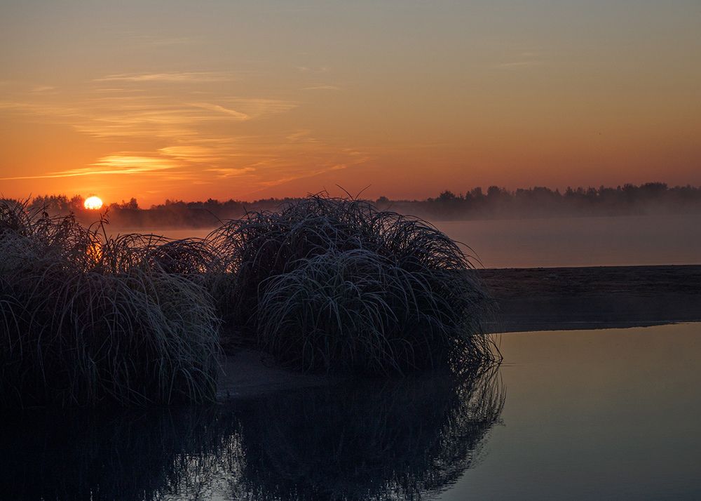 Фотография автора владимир шаронов