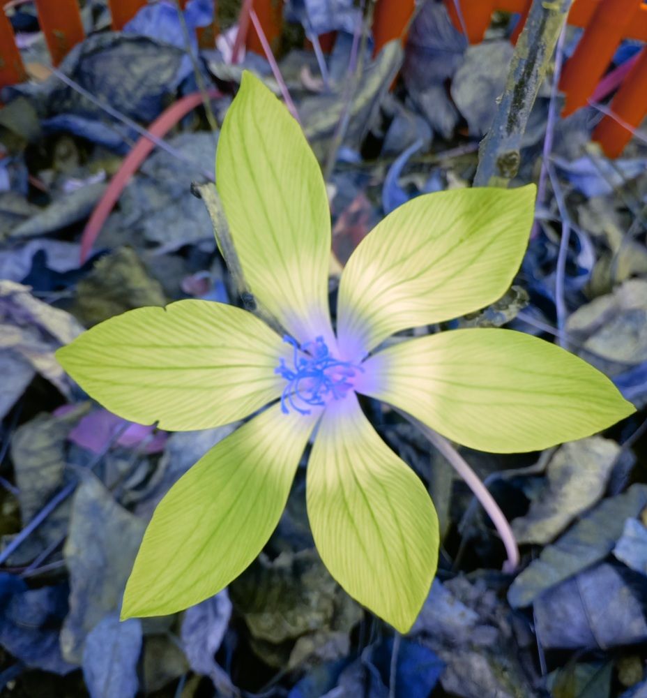 Photograph by Ольга Шевцова