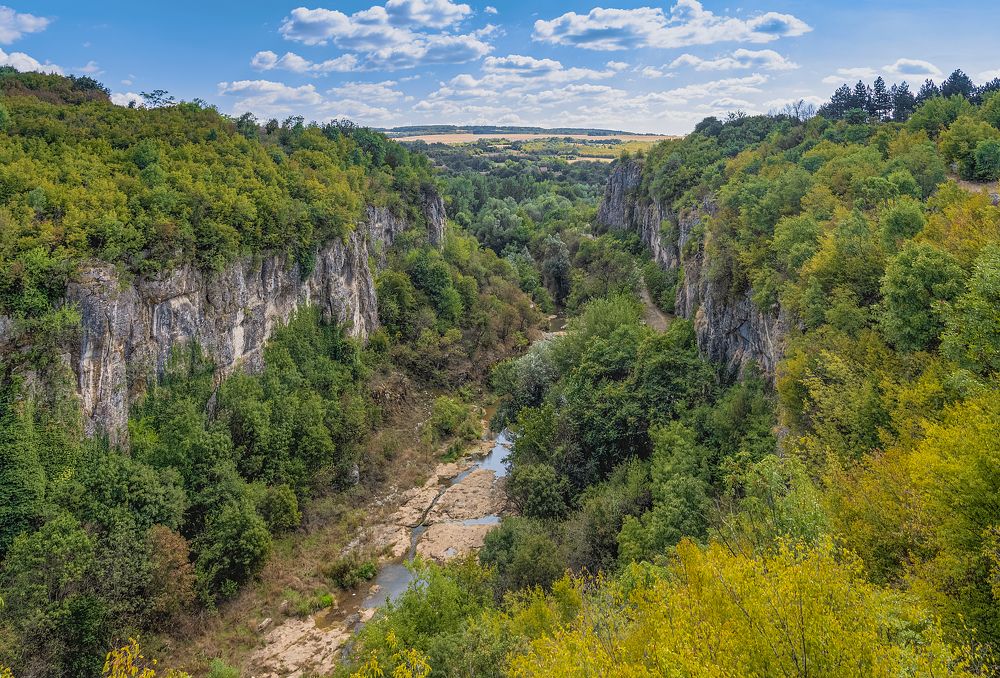 Photograph by Venelin Dimitrov