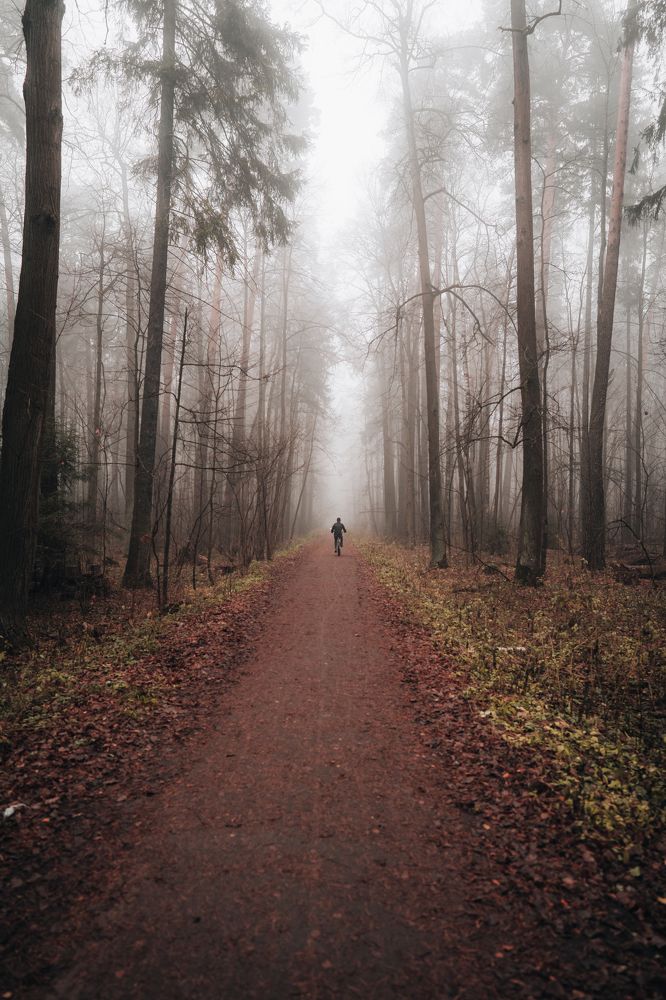 По ту сторону тумана...