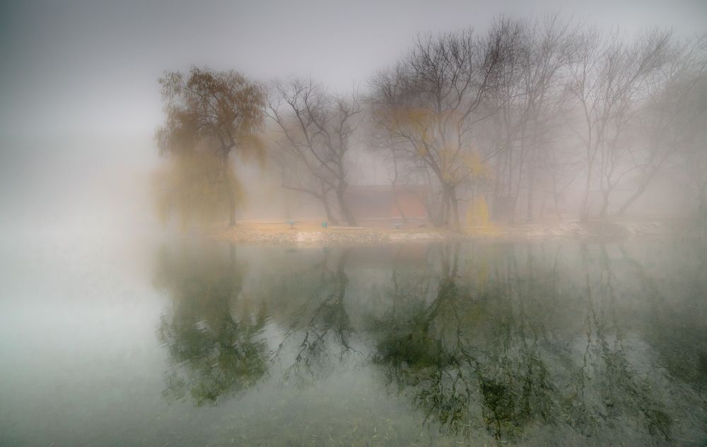 Среди озерной мглы ...