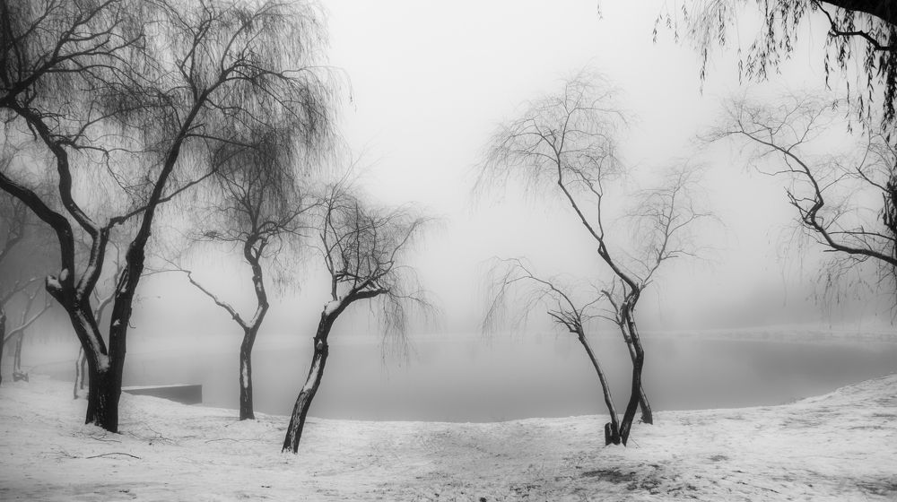 Photograph by 