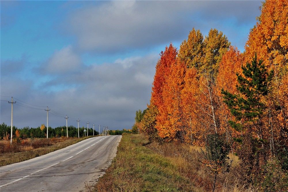 Photograph by Федоренко Элеонора