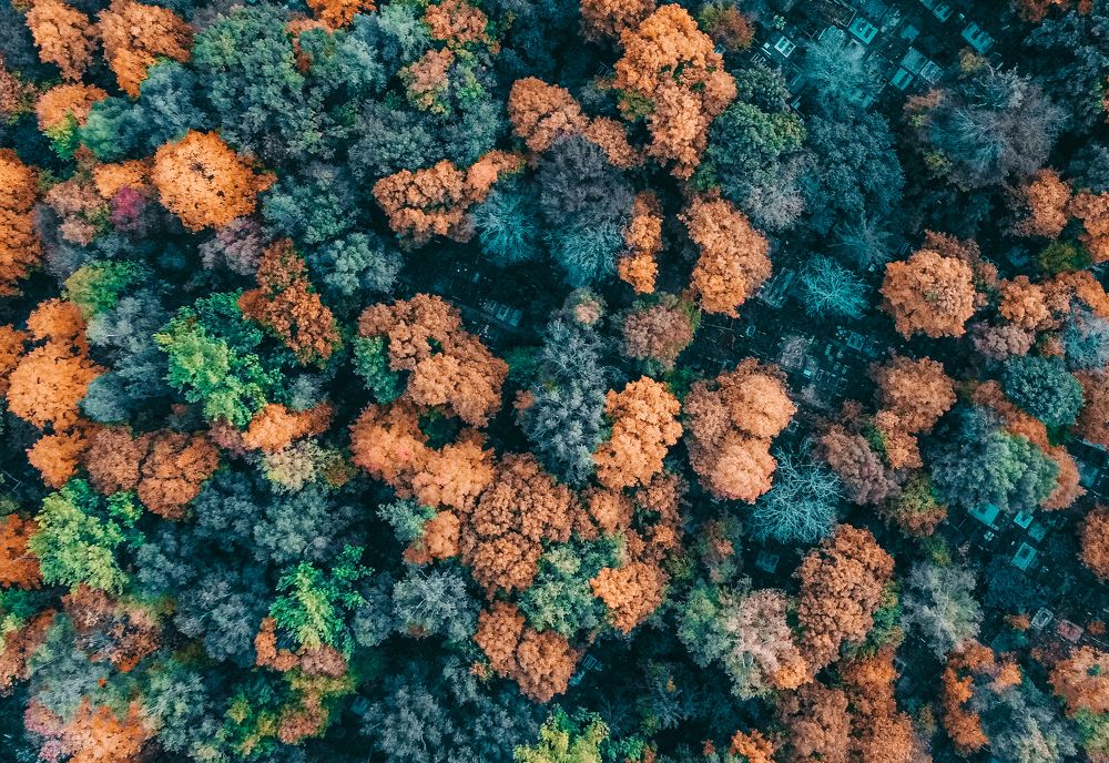 Photograph by Евгений Кириенко