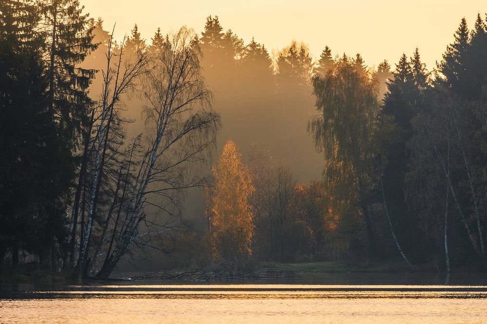 Photograph by Александр Шершнев