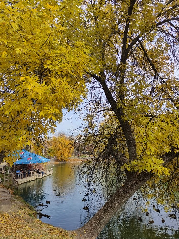 Photograph by Valeriaja Prokopenko