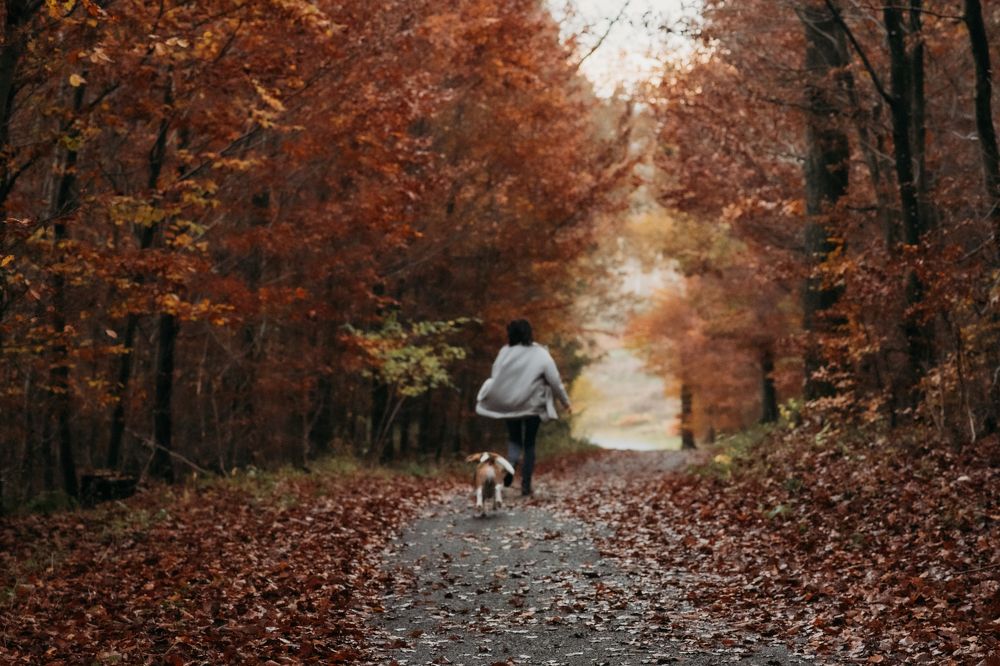 Photograph by Виктория Миллер