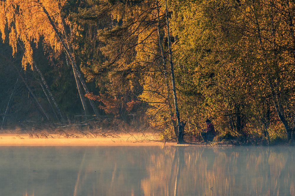 Photograph by Александр Шершнев