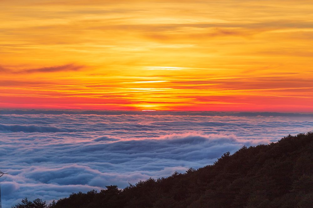 Photograph by Vladimir Soroka