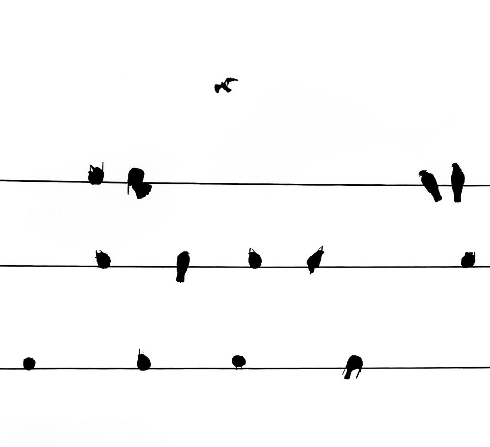 Photograph by yousef z shima