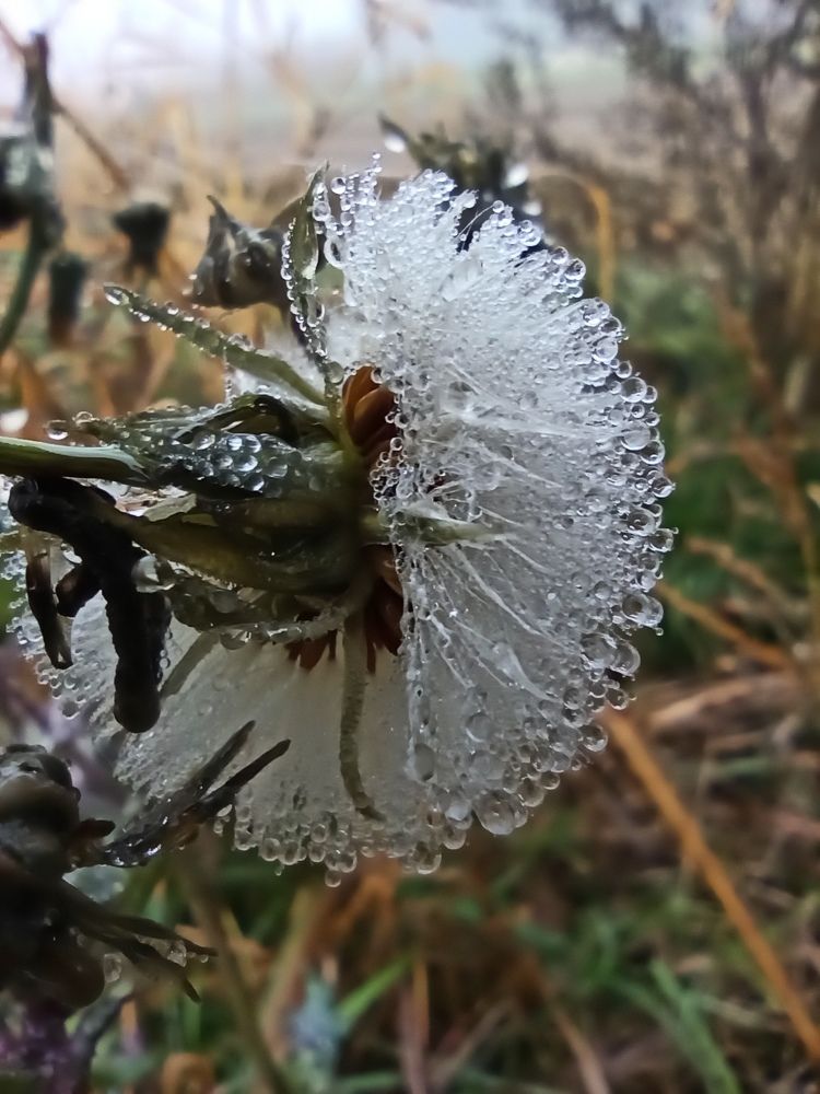 Photograph by Татьяна Долгушева