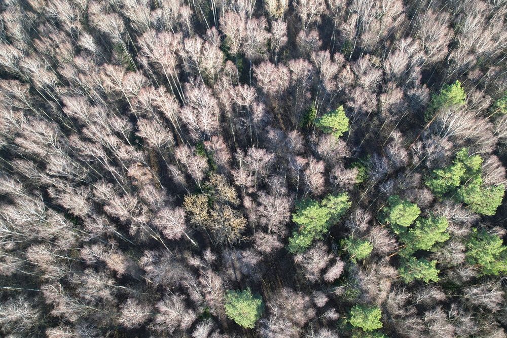 Фотография автора Елена Колосова