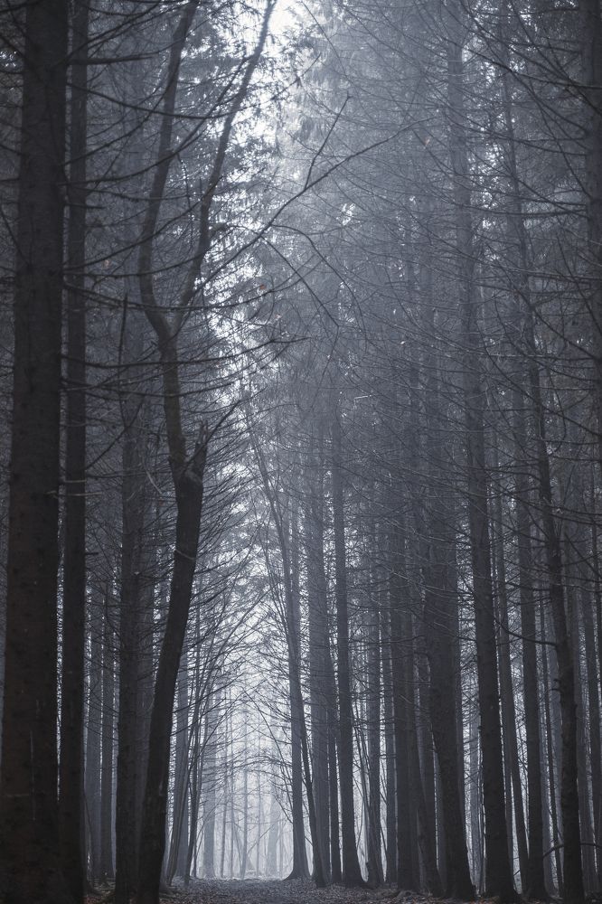 Фотография автора Dmitry Leonov