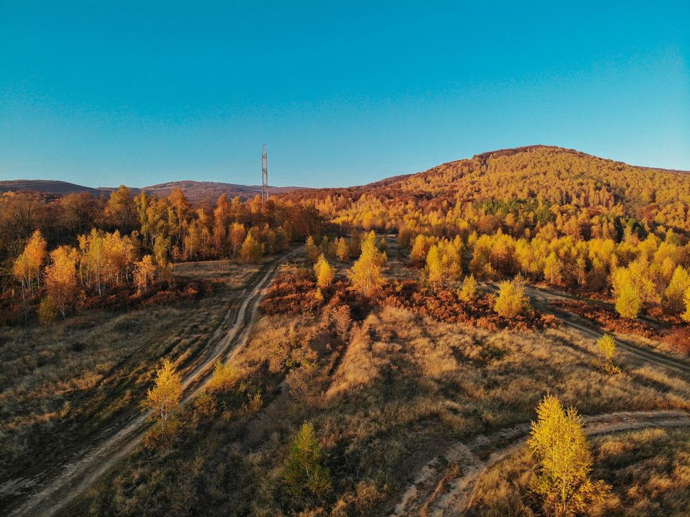 Photograph by Iгор Ситар