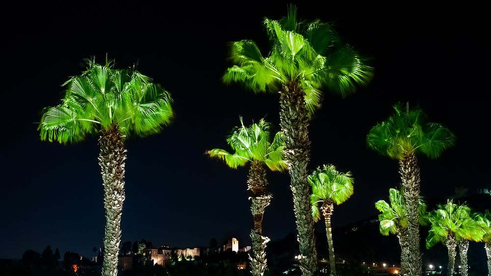 Photograph by Ruslan Tsyrulkevych