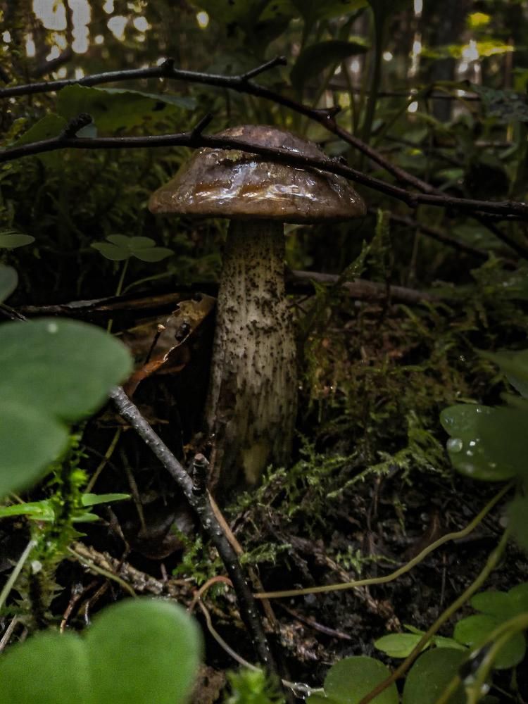 Photograph by Олеся Кузнецова