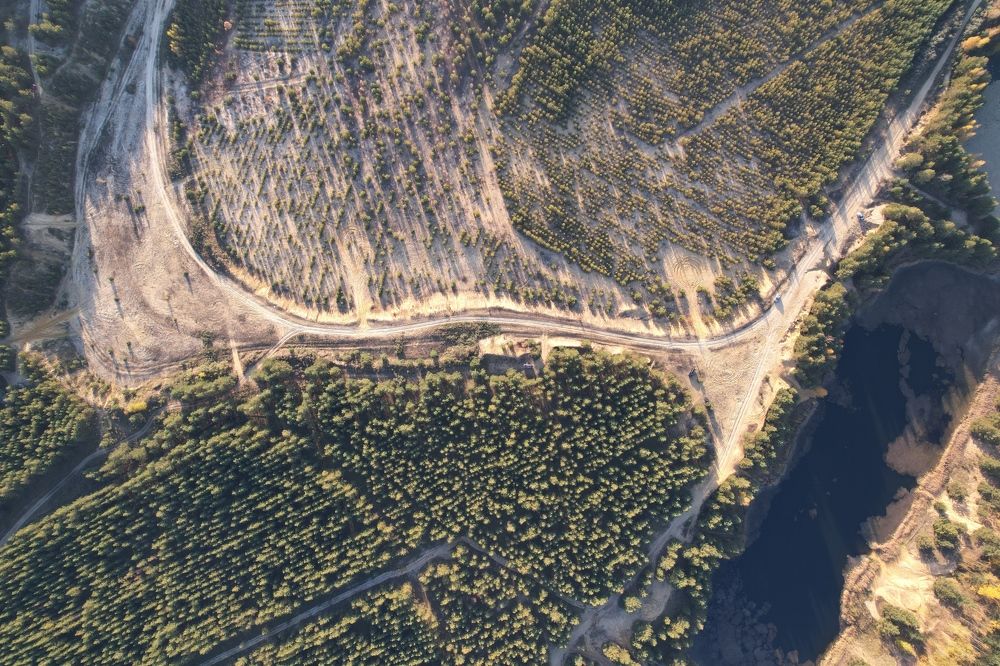 Фотография автора Елена Колосова