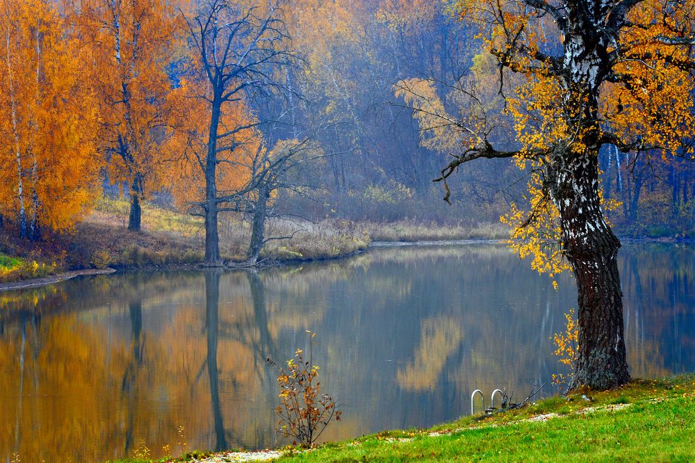 Photograph by Владимир Лосман