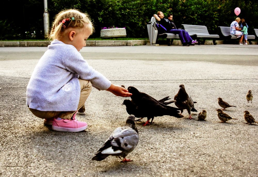 Ну-ка детки встали в ряд