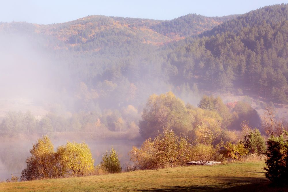Photograph by Nataliya Nazarova