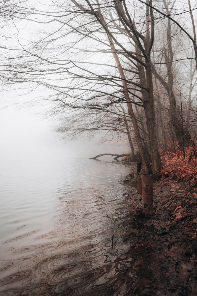 Photograph by Игорь Котиков